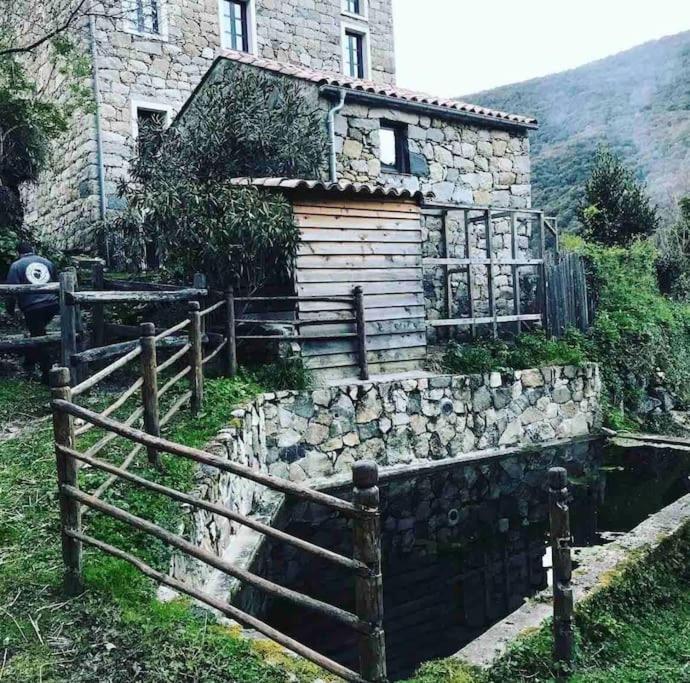 Casa Arena Authentique Maison De Village Avec Piscine Au Coeur De L'Alta Rocca - Zoza Экстерьер фото