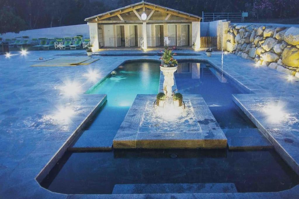 Casa Arena Authentique Maison De Village Avec Piscine Au Coeur De L'Alta Rocca - Zoza Экстерьер фото